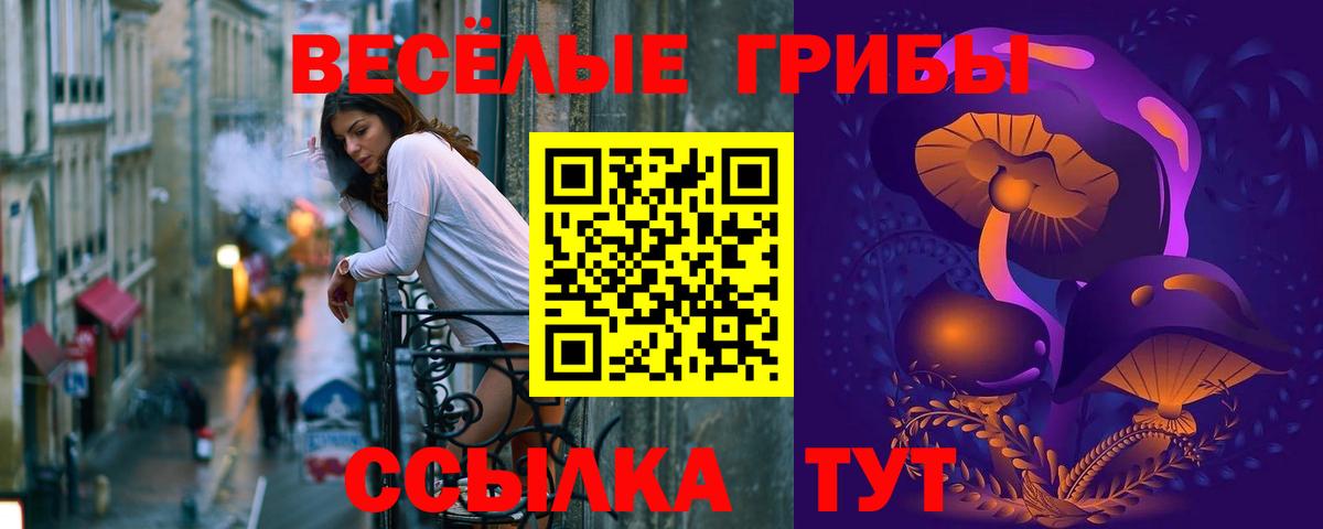 Галлюциногенные грибы GOLDEN TEACHER Краснодар